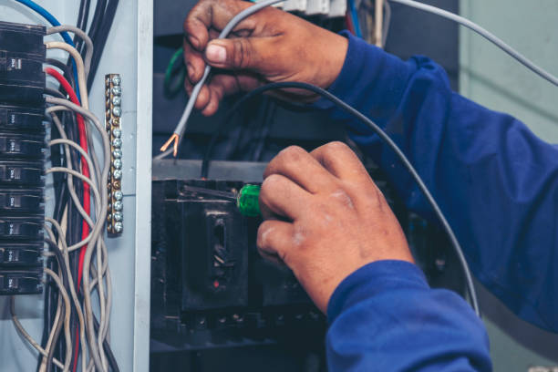 Best Affordable Electrician  in Redington Shores, FL